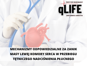 Mechanizmy odpowiedzialne za zanik lewej komory serca w przebiegu tętniczego nadciśnienia płucnego - POB qLIFE