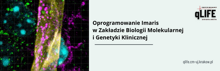Software for interactive image analysis in the Department of Molecular Biology and Clinical Genetics